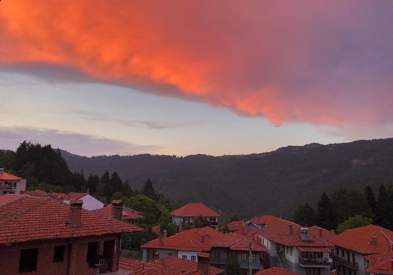 Apostolos Hotel Metsovo Exterior photo