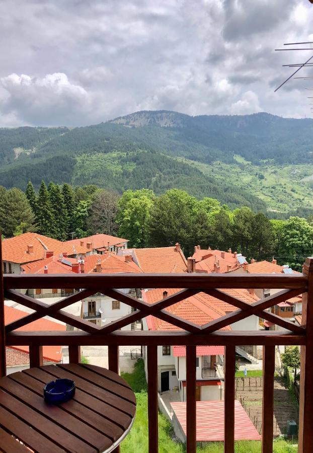Apostolos Hotel Metsovo Exterior photo