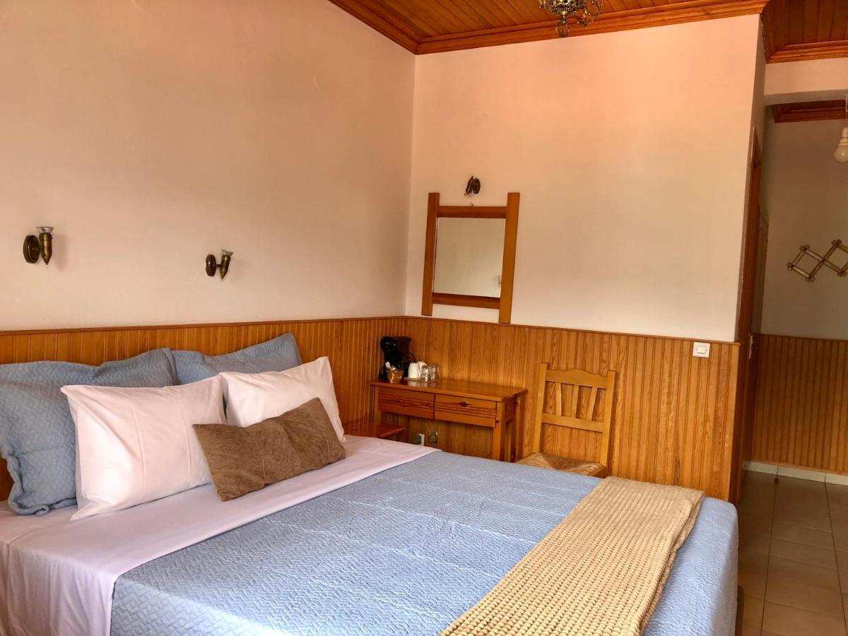 Apostolos Hotel Metsovo Exterior photo