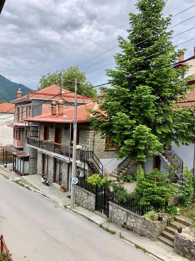 Apostolos Hotel Metsovo Exterior photo