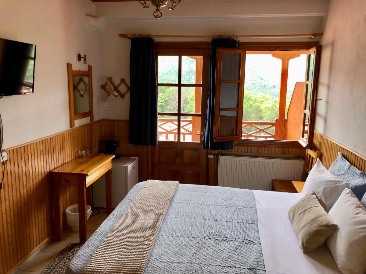 Apostolos Hotel Metsovo Exterior photo