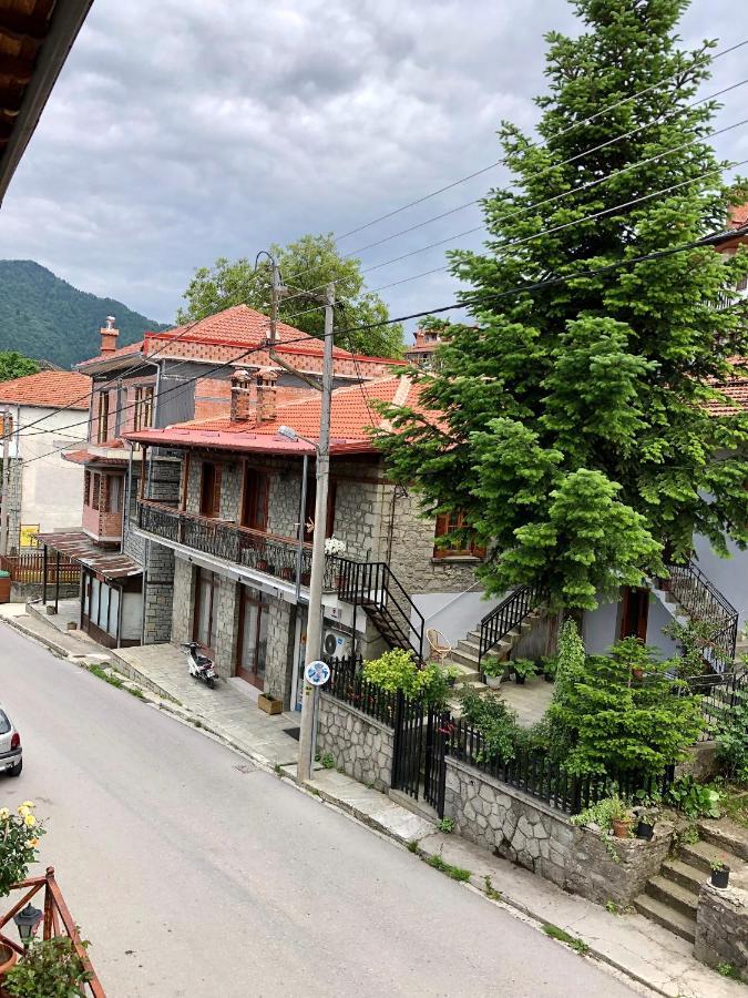 Apostolos Hotel Metsovo Exterior photo